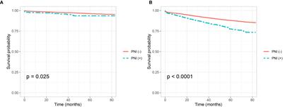 Perineural Invasion Is a Strong Prognostic Factor but Not a Predictive Factor of Response to Adjuvant Chemotherapy in Node-Negative Colon Cancer